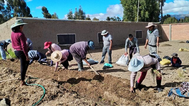 Bolivia_plantacion cebollas en huertos escolares.jpg